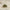 files/MG_9634.jpg